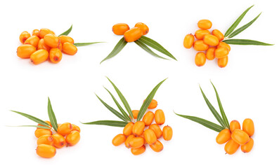 Sea buckthorn berries and green leaves isolated on white, set