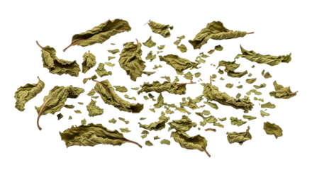 Pile of dried mint leaves isolated PNG with Transparent Background