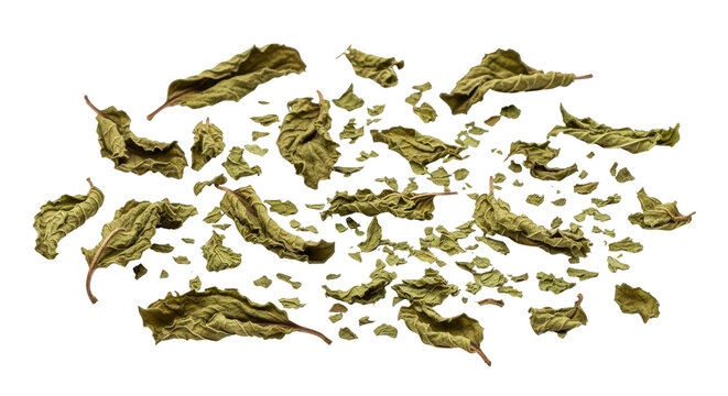 Pile of dried mint leaves isolated PNG with Transparent Background