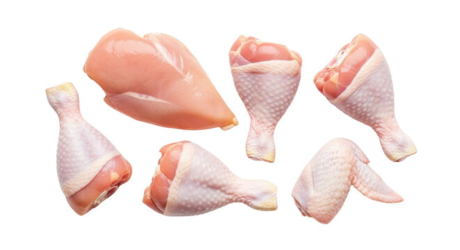 Assortment of raw chicken pieces including breast, legs and wing isolated PNG with Transparent Background