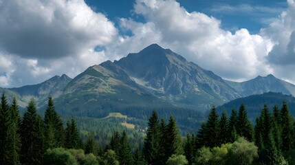 Obraz premium Majestic mountain peak rises above dense evergreen forest beneath a dramatic summer sky