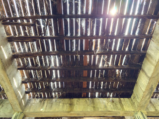 Natural resort and old wood