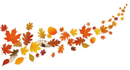 Colorful flowing autumn leaves design element, fall season isolated illustration graphic