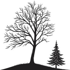 Obraz premium Black silhouette of bare tree and evergreen on grassy hill