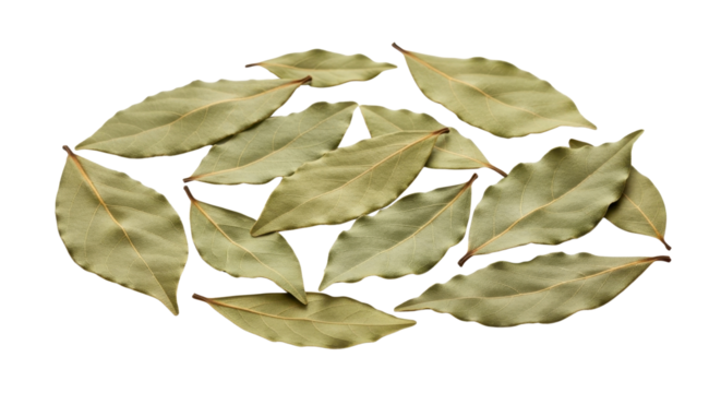 Pile of dried bay leaves isolated PNG with Transparent Background