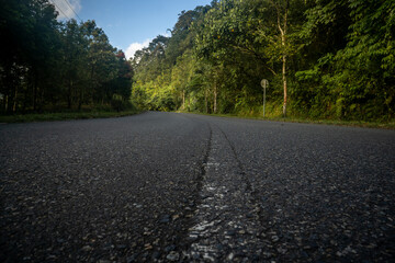 Winding road through lush green forest landscape on a sunny day capturing nature's quiet beauty