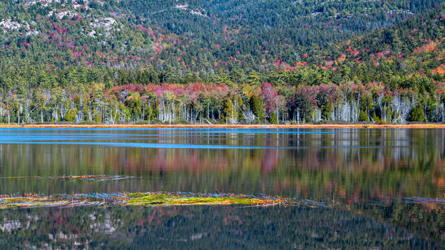 Beautiful autumn scenes on shore with perfect reflections under a sunny day	 - Powered by Adobe