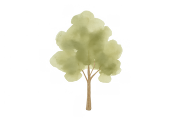 Green tree painting in watercolor style, showing plant life and ecological themes. Isolated on a transparent background