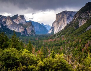 A wide shot captures a verdant valley framed by towering granite cliffs under a dramatic, overcast sky. Lush green trees fill the foreground