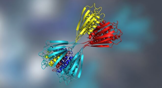 3d illustration of a protein molecule structure with colorful strands - Powered by Adobe