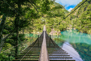 Fototapeta premium 静岡県寸又峡の夢のつり橋