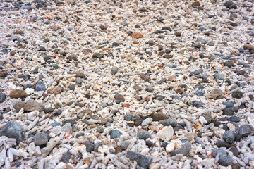 pebbles on the beach