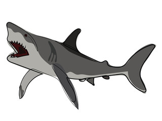 Shark in continuous line drawing