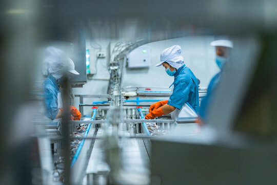 Workers perform manual quality control on a smart factory line. They are ensuring food safety for an automated, AI driven canning system.