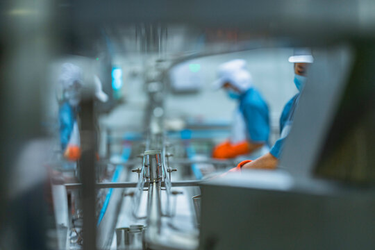 Fish processing line in a clean food manufacturing environment Workers ensure quality control and efficiency in industrial food production.