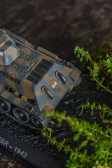 The legendary Soviet tank of the World War II era: the T-34 tank. This tank was capable of fighting well.