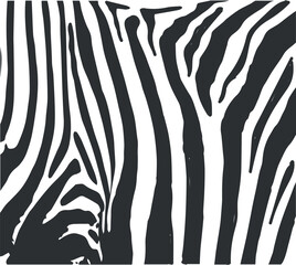 Abstract black and white zebra stripe pattern design with vertical lines creating a bold graphic texture