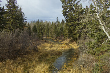 Whitemud Park in the Autumn