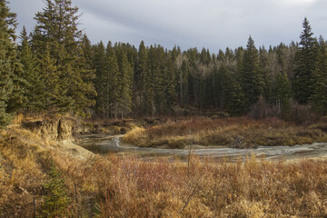 Whitemud Park in the Autumn