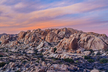 Sun set at Joshua tree