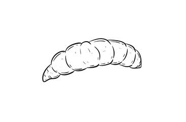 maggot digital illustration drawing isolated