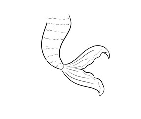 mermaid tail digital illustration drawing isolated