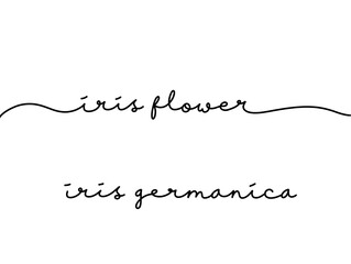 Elegant Handwritten Font of Iris Flower and Iris Germanica