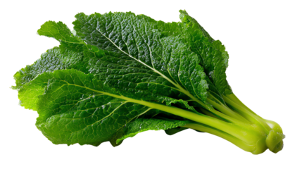 Fresh mustard leaves: Close-up shot of fresh, vibrant mustard greens, showcasing their textured leaves and verdant hue. A symbol of healthy eating and culinary delights.