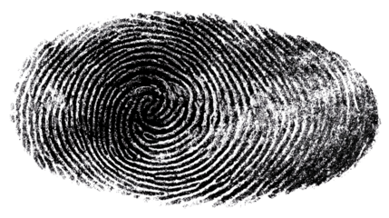 Fingerprint detail: An detailed macro of fingerprint patterns, displaying intricate whorls and ridges, and symbolizes identity.