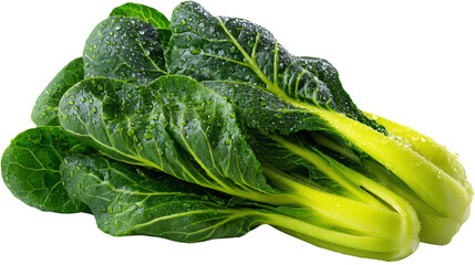 Green Bok Choy's Freshness: A close-up view of fresh green bok choy, showing its vibrant leaves and healthy appearance, offering a taste of natural freshness.