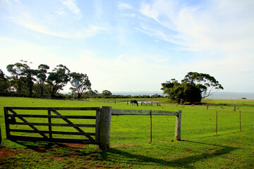 Churchill Island Heritage Farm 🐑🌿 Step back in time on Victoria’s historic coastal farm! 🇦🇺✨