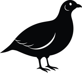 northern bobwhite silhouette vector, Northern bobwhite line art silhouette vector illustration design
