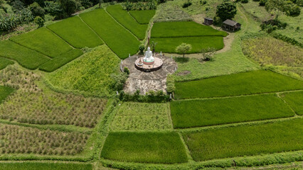 Aerial view of the white Buddha statue situated in rice field in rural area of Chiang Rai province of Thailand.