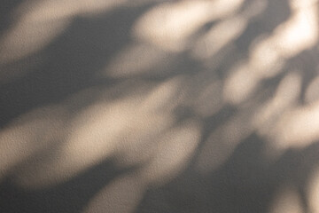 Abstract natural tree branch leaves shadow on beige wall background