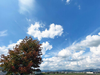 白い雲が浮かぶ穏やかな風景