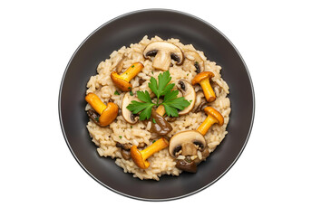 Mushroom Risotto with Chanterelles and Parsley in Dark Bowl rice creamy isolated on a transparent background