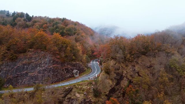 Curvy road through lush autumn forest under cloudy sky, tranquil scene
