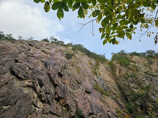 High Angle View of Steep Rocky Cliff Face with Overhanging Green Leaves