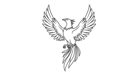 Detailed phoenix illustration for coloring book