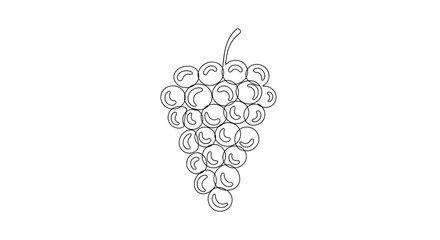 Detailed illustration of a bunch of grapes