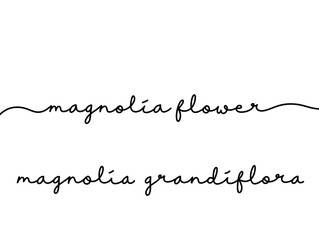 Elegant Magnolia Flower Handwritten Calligraphy Typography Design