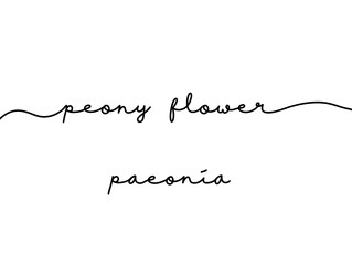 Minimalist Handwritten Typography of Peony Flower with Botanical Name