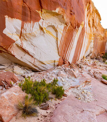 Bright Orange Streaks of Desert Varnish on The White Cliffs, Mansard Great Diverse Trail, Utah, USA