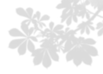 Fototapeta premium Vibrant Leaf and Branch Shadow Overlay