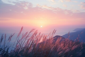 Fototapeta premium Grass on Hill Overlooking Ocean at Sunrise Nature Background for Inspiration