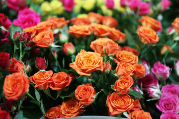 Lush Orange Roses with Mixed Colorful Flowers