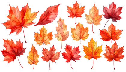 Obraz premium Assorted watercolor autumnal foliage scattered across black background