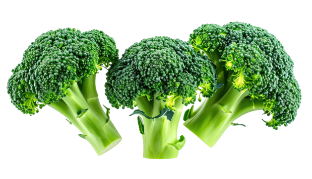 Three green broccoli florets isolated against a black background