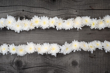 White Flowers on Wooden Surface. Top View Photo. Wallpaper Background Template.