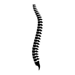 Human Spine Silhouette